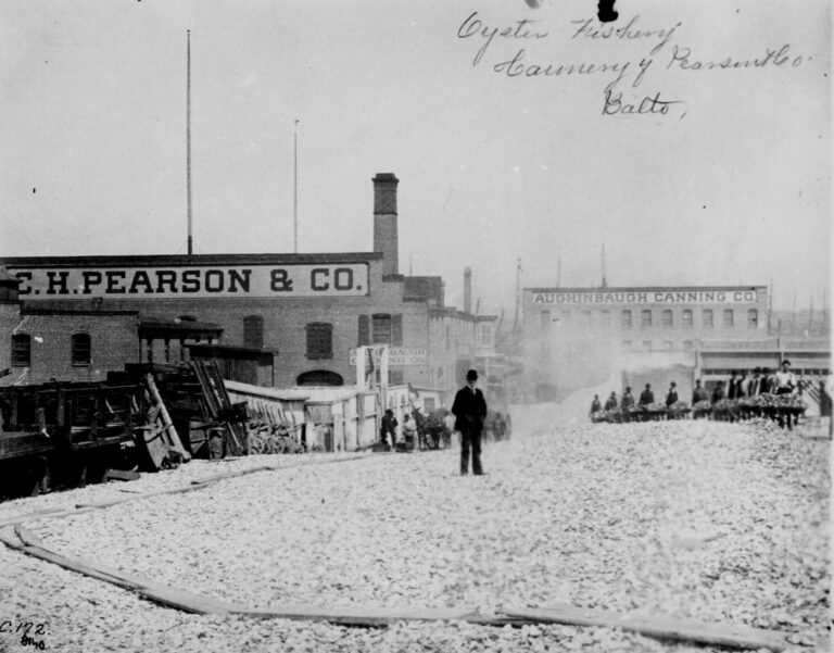 Man with a derby hat stands atop a mound of oyster shells outside the C. H. Pearson & Company oyster cannery, Baltimore. Workers bring wheel- barrows of shells from the factory to the heap. ca. 1890.